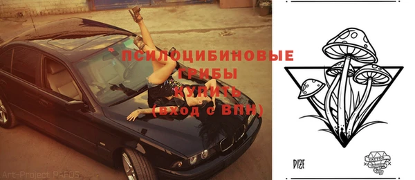 амф Балахна