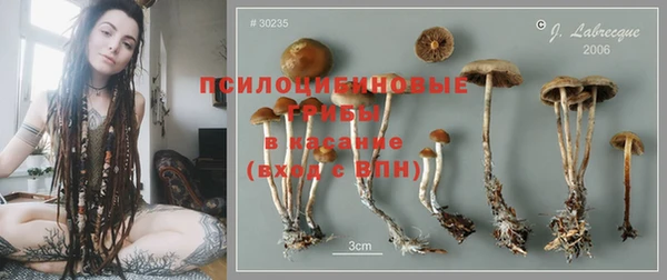 амф Балахна